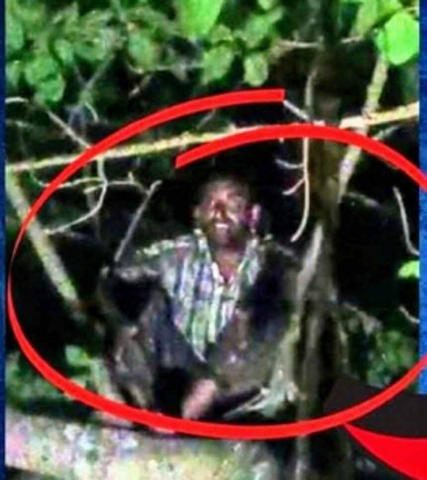 Mentally unsound man who climbed banyan tree at Siolim rescued after over 12-hour-operation