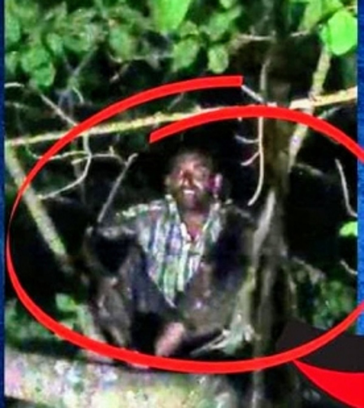 Mentally unsound man who climbed banyan tree at Siolim rescued after over 12-hour-operation