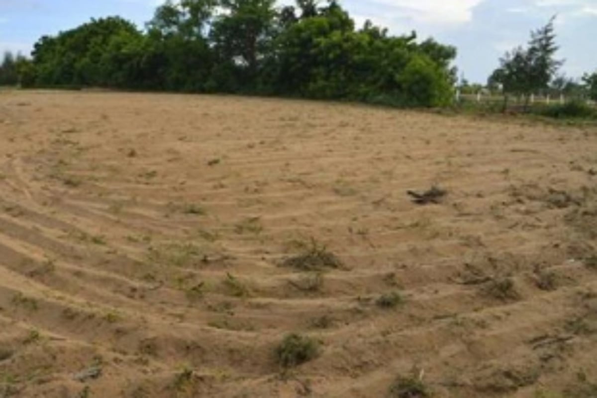 Merces Comunidade  submits objections to  Land Revenue Code