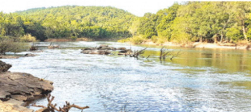 Mhadei: PMO directs Water Resources Ministry to reply to Curtorim p’yat’s letter