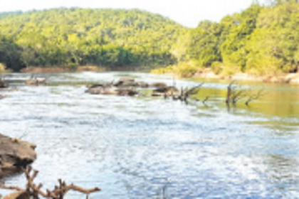 Mhadei River diversion linked to environmental flows?