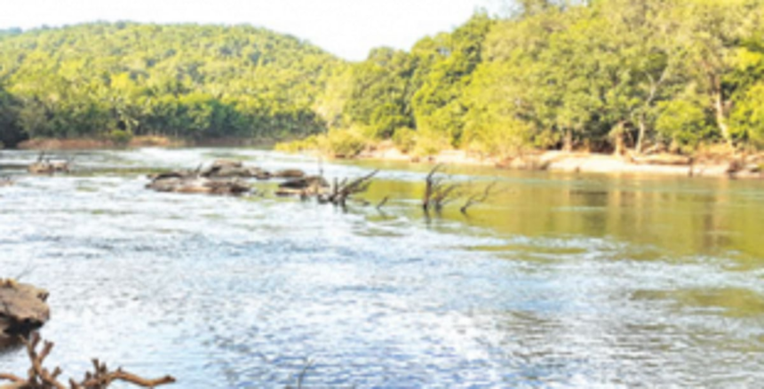 Mhadei activists accuse CM Sawant of  weakening Goa’s case in Supreme Court