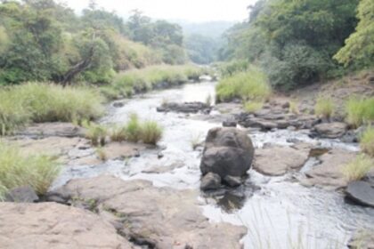 Mhadei dams curse: Kankumbi villagers have no water to drink or irrigate