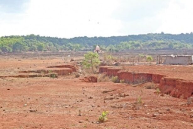 Mhadei diversion: Karnataka’s game of deceit