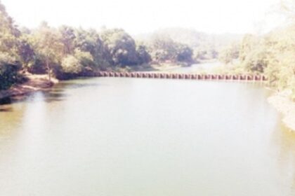 Mhadei diversion will have DISASTROUS  effects upon the marine and human life
