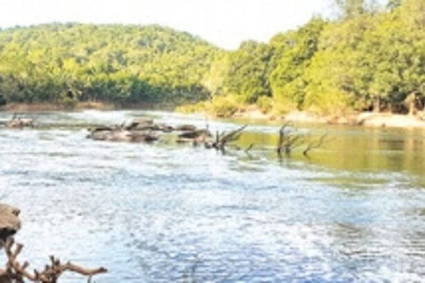 Mhadei front to challenge Kalasa-Bandura project report in Supreme Court