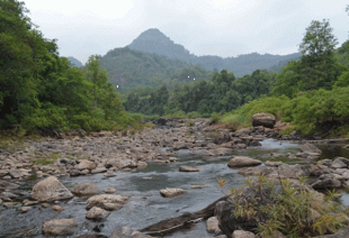 Mhadei inspection report not completed