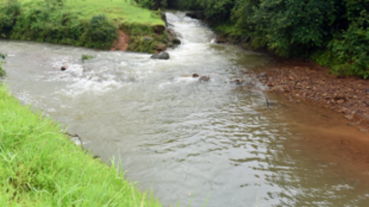 Mhadei row: Goa govt to file interim application in Supreme Court next week