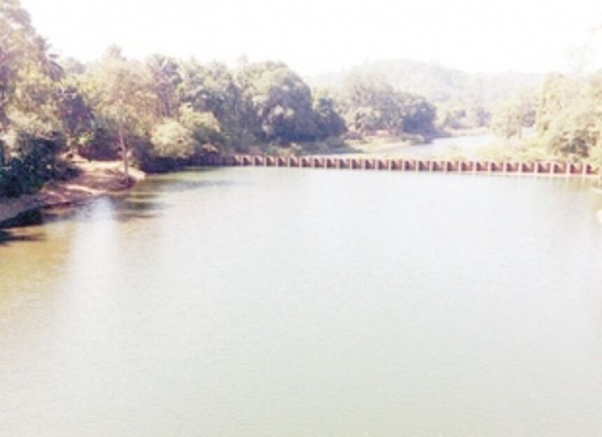 Mhadei water diversion will impact Sattari, Bicholim, Bardez, Tiswadi, Ponda, Dharbandora talukas