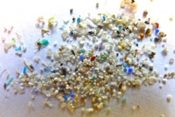 Microplastic in ballast waters  ‘risk’ to marine, human lives