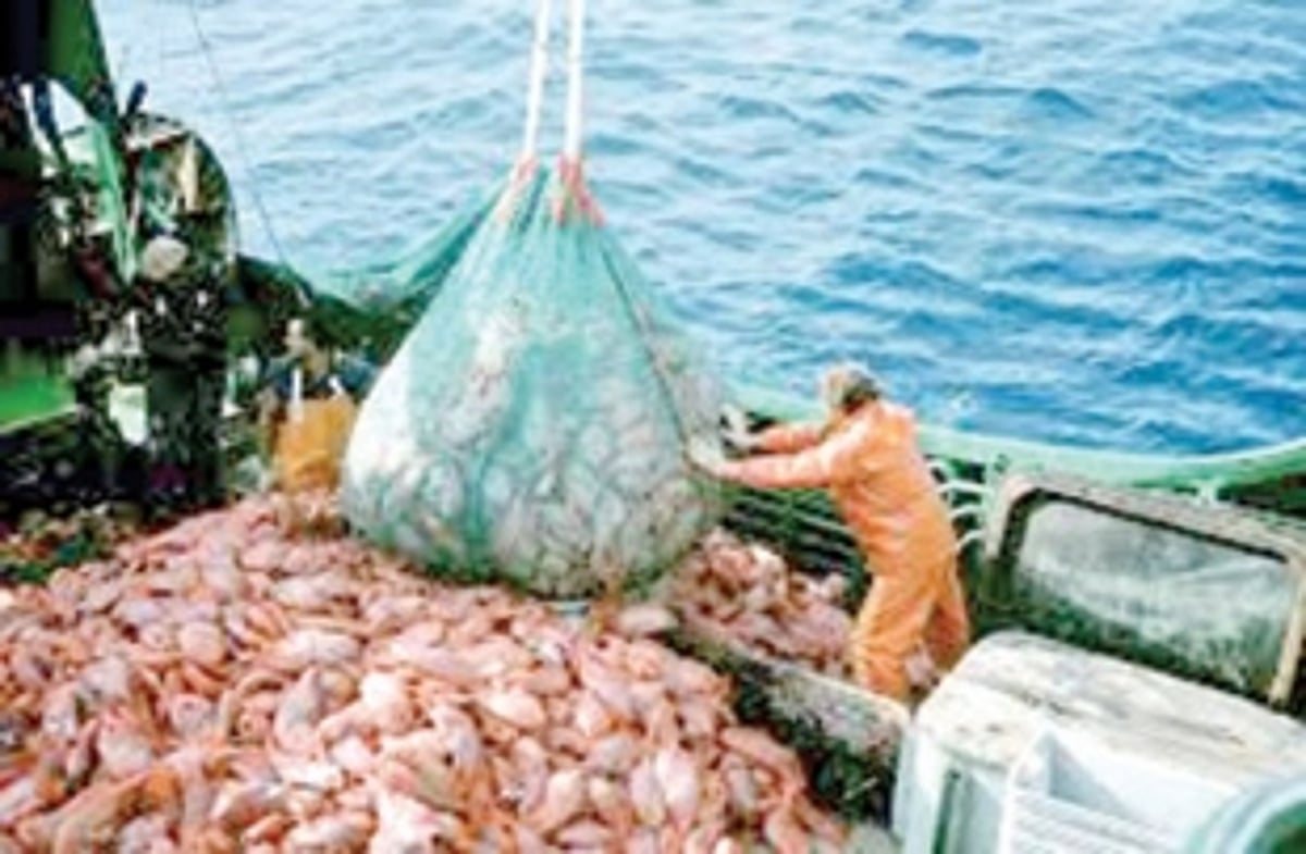 Microplastics plague  Arctic region