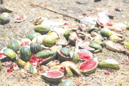 Midnight dumping of  truck load of rotten watermelons cost AP  truck driver Rs 2,500