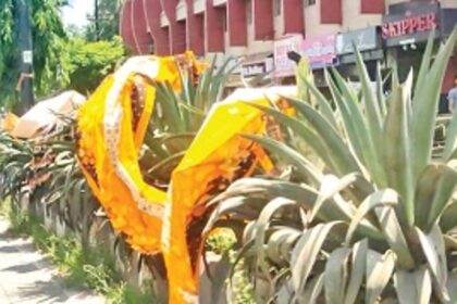 Migrants warned not to put clothes to dry on plants at Mapusa
