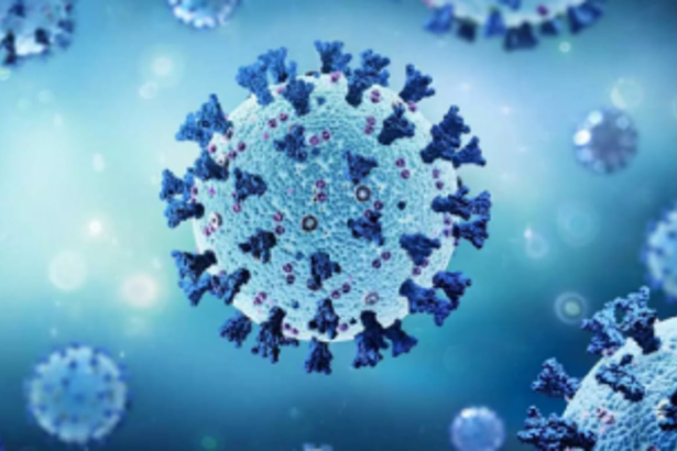 Minding herd mentality over   herd immunity