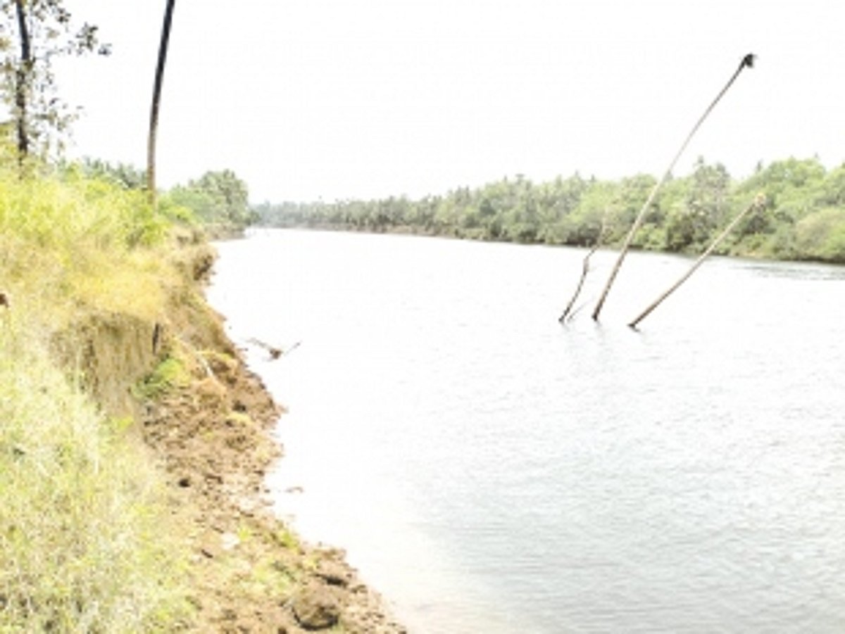 Mines Dept asks biodiversity board, NIO to  demarcate grid for sand mining in River Chapora