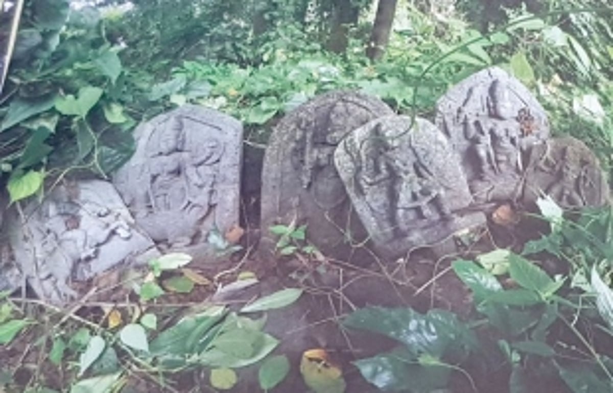 Mining sends sacred groves on path to extinction: Environmentalist