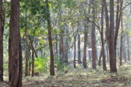 Minutes of 57th Meeting of the Standing Committee of NBWL on April 7, 2020