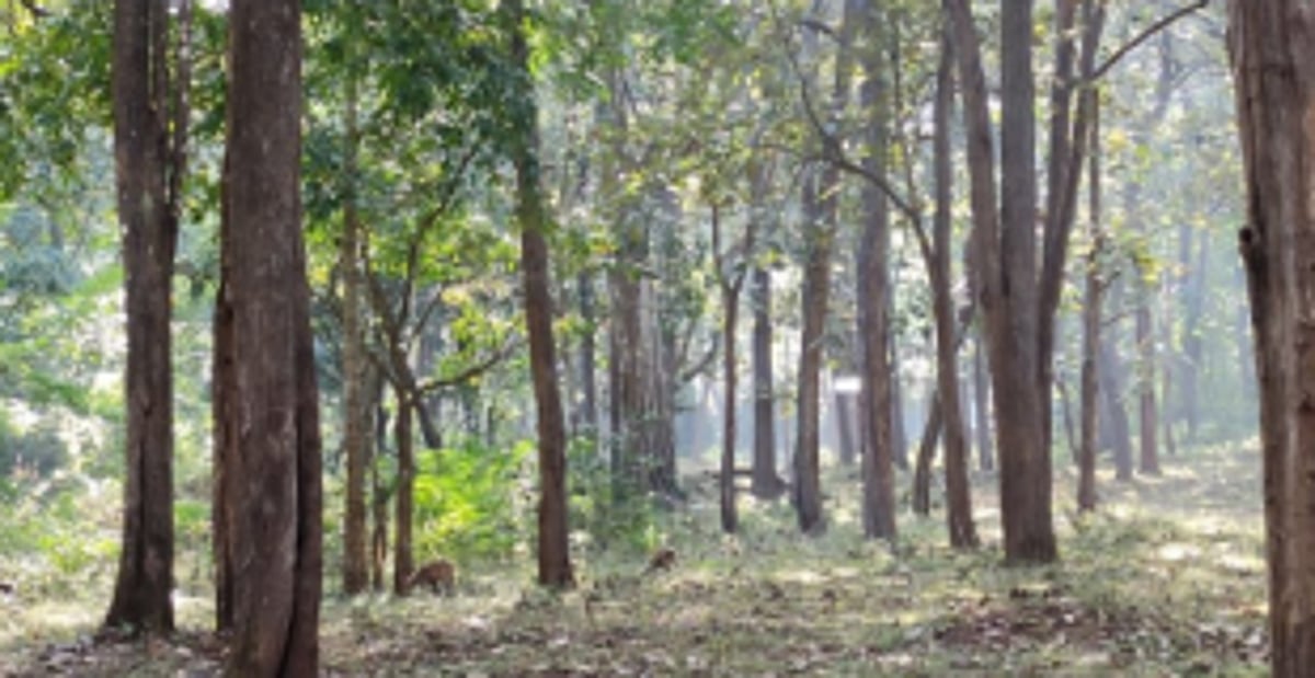 Minutes of 57th Meeting of the Standing Committee of NBWL on April 7, 2020