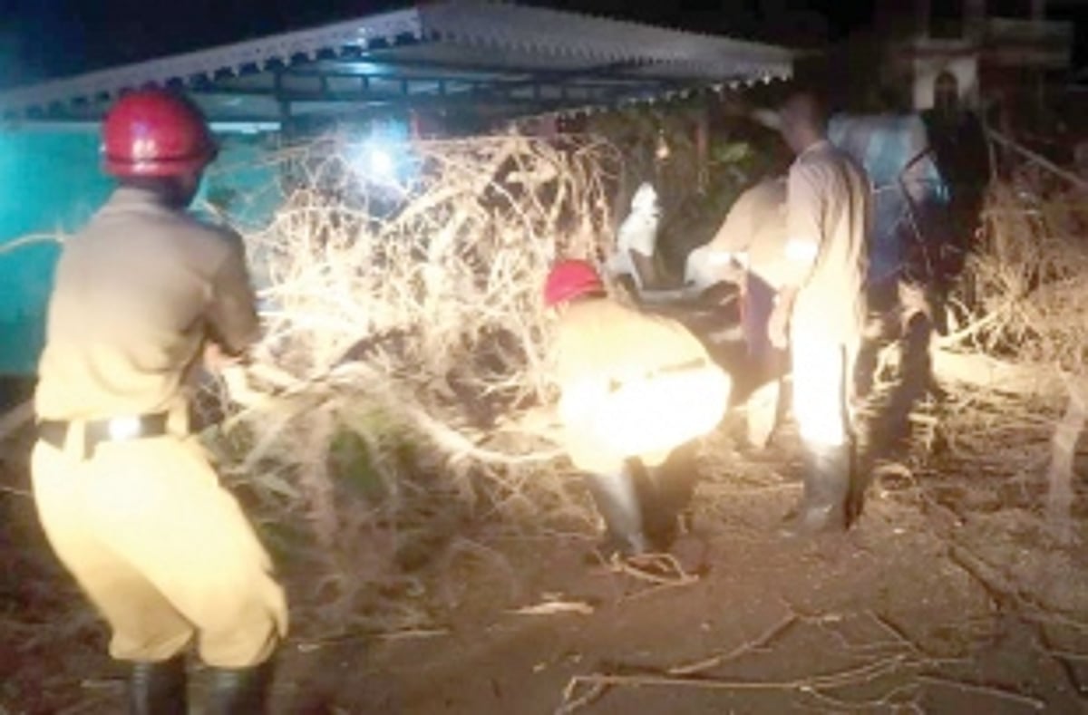 Miraculous escape for students as huge tree falls on road