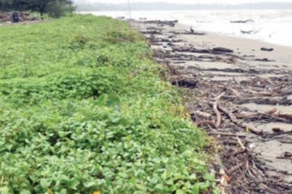 Miramar beach misses Blue Flag Certification