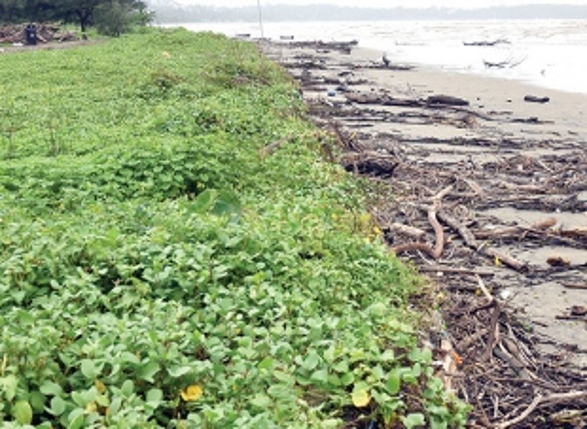 Miramar beach misses Blue Flag Certification