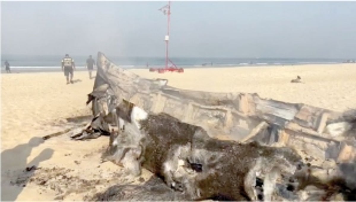 Miscreants burn canoes at Benaulim  beach, traditional fishermen upset