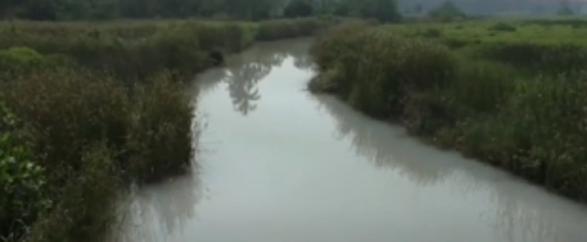 Miscreants release  chemicals in Raia nullah