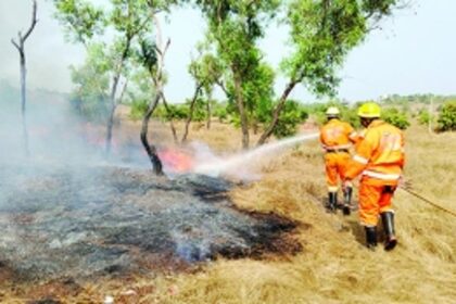Miscreants torch dry grass behind Aldona PHC