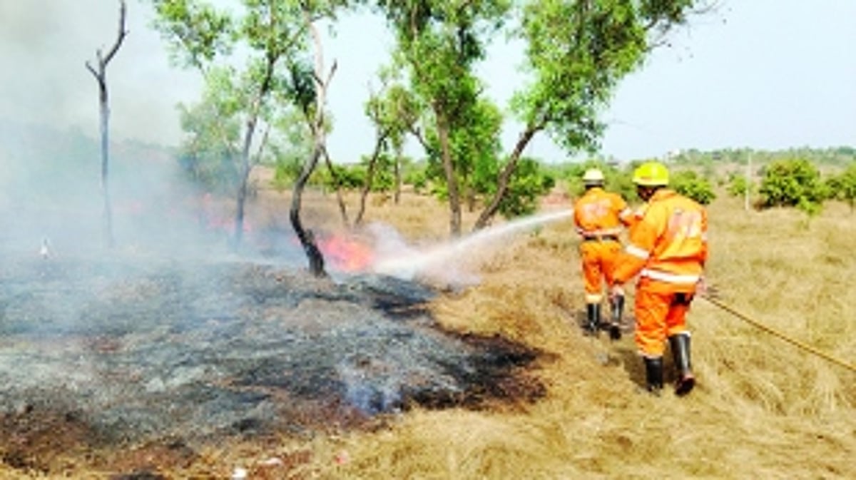 Miscreants torch dry grass behind Aldona PHC