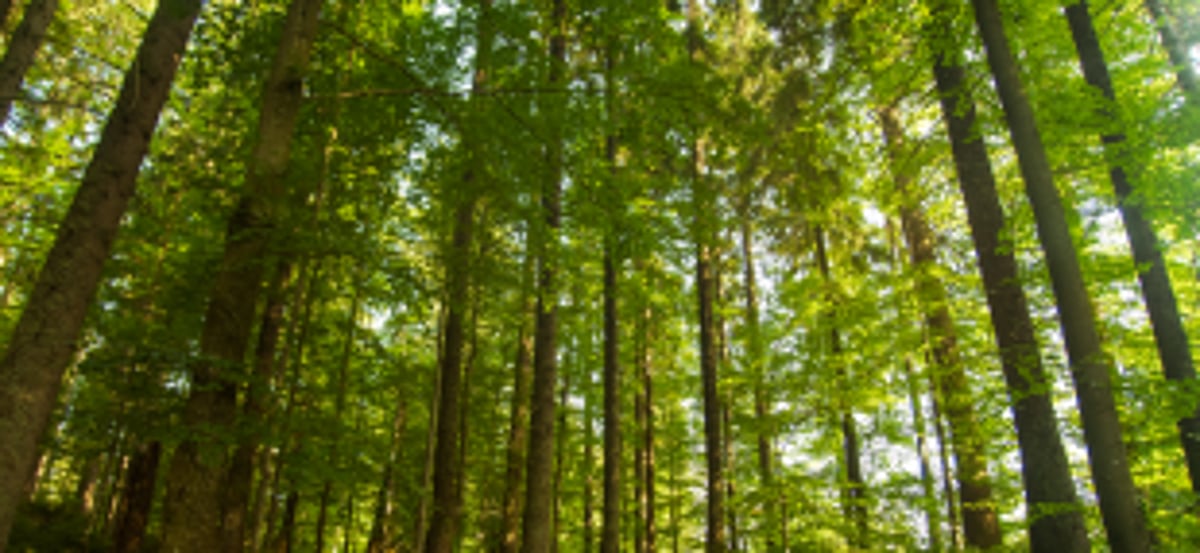 MoEF&CC amends CRZ Notification, 2019