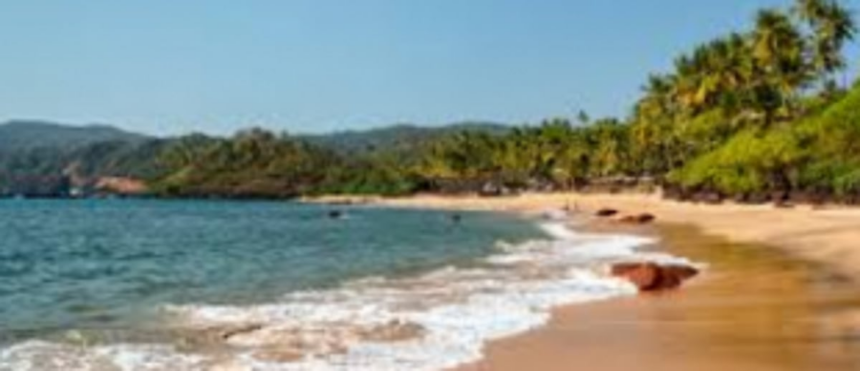 MoEF&CC directs State to keep check on CRZ areas activities