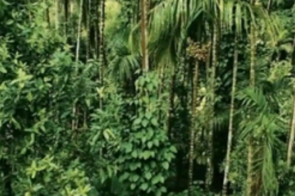 MoEF&CC extends validity   of ECs