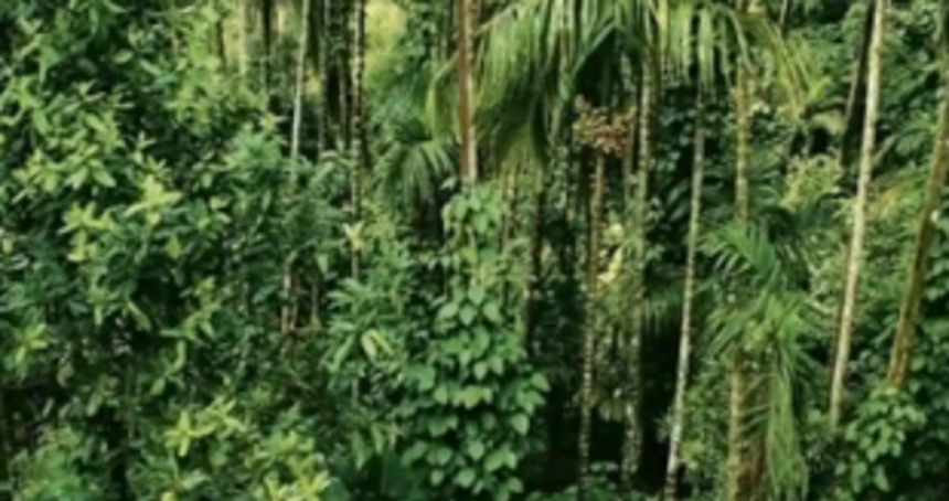 MoEF&CC extends validity of ECs