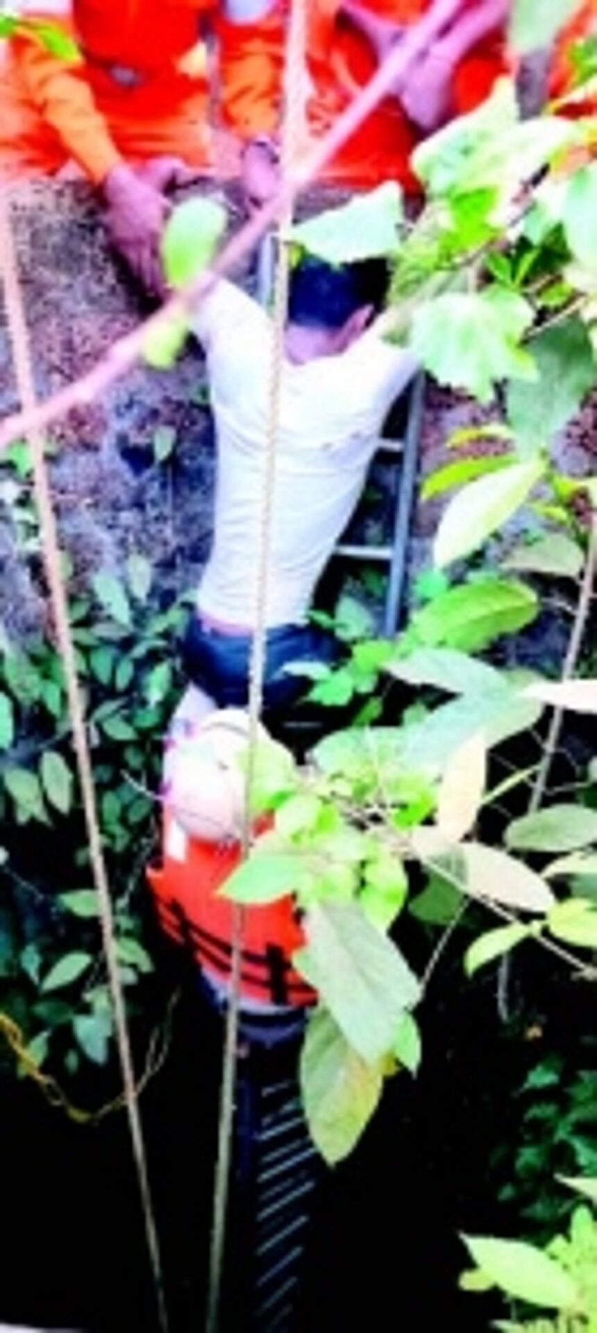 Mobile addiction almost cost youth his life