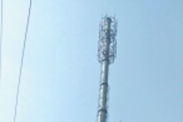 Mobile tower erected at Bhedshem-Talaulim govt school despite opposition