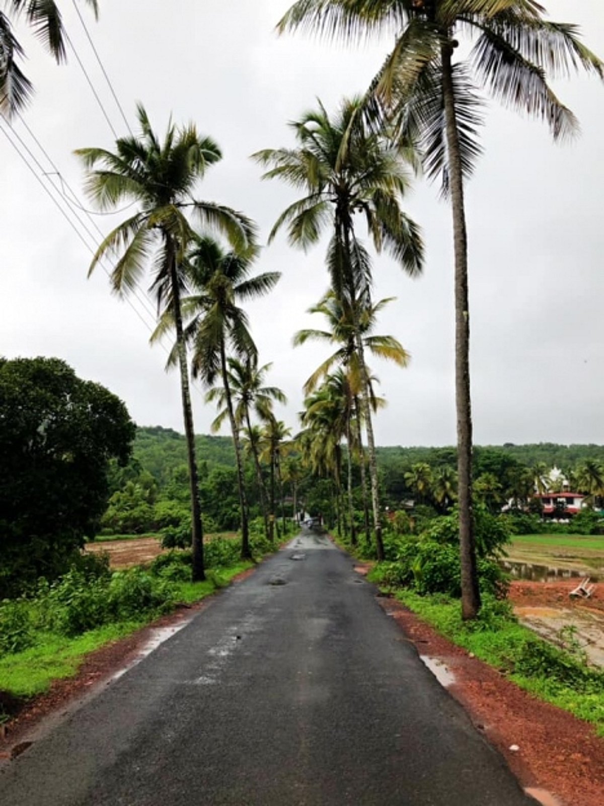 Moira, Aldona free to accept  or reject urban status: MLA