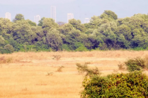 Moira Comunidade objects  to Collector’s discretion  on land conversion cases