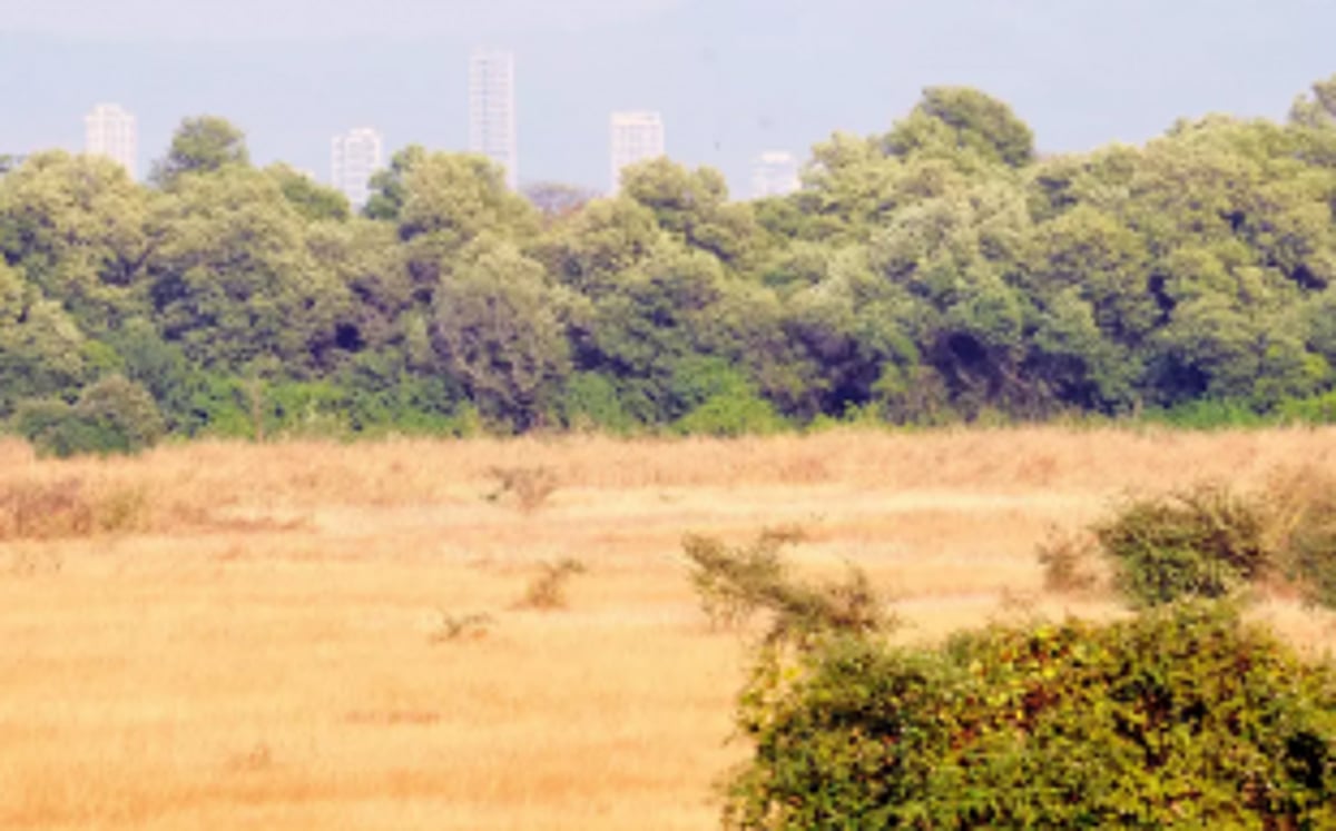 Moira Comunidade objects  to Collector’s discretion  on land conversion cases