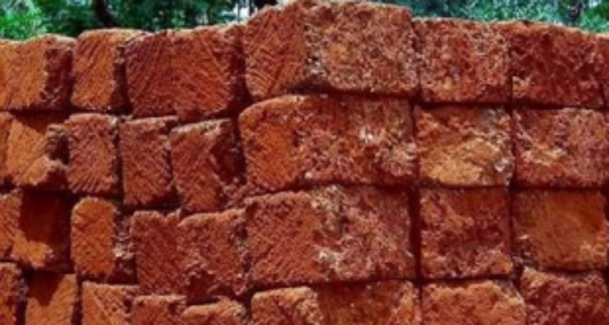 Mollem locals for action against  illegal laterite stones extraction