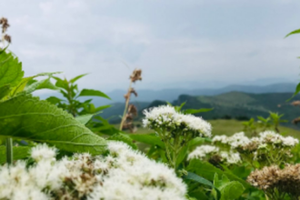 Moments of solitude  with Mother Nature