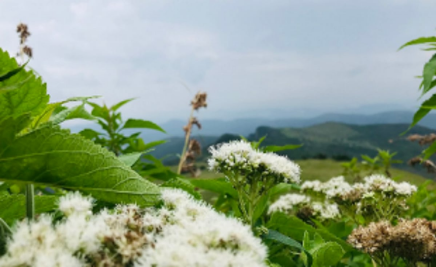 Moments of solitude with Mother Nature