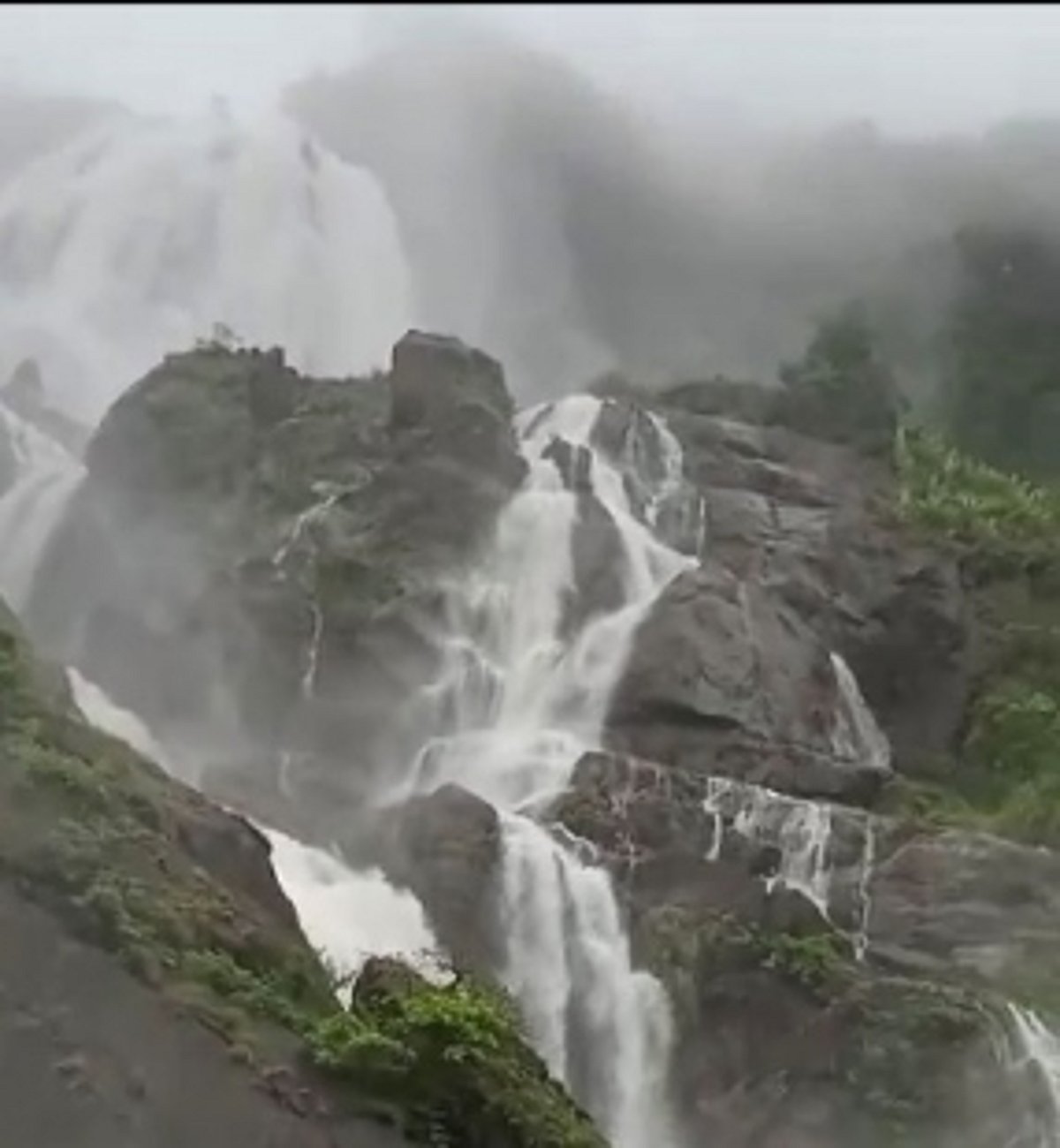 Monsoon breathes renewed  vigour into Dudhsagar Falls