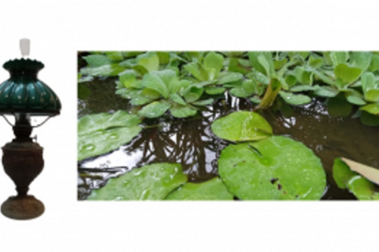 Monsoon marvels: a journey through the tales of Goa's rainy season