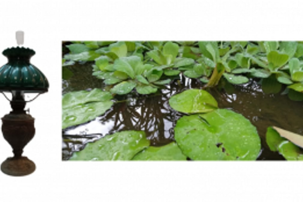 Monsoon marvels: a journey through the tales of Goa's rainy season