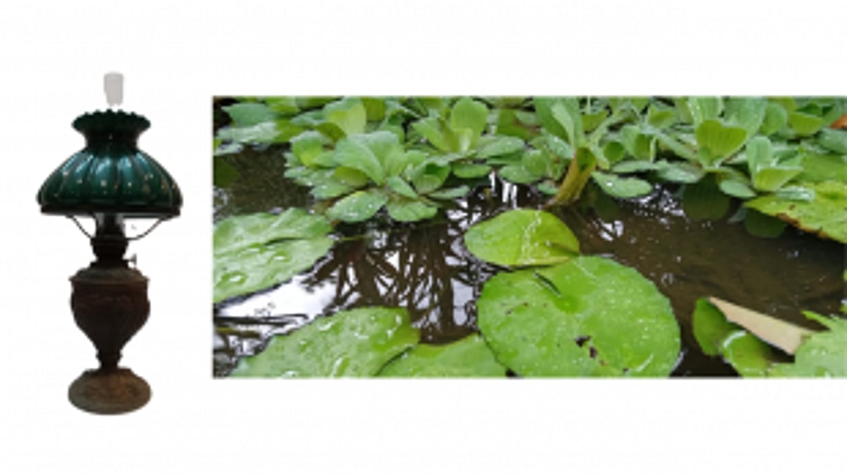 Monsoon marvels: a journey through the tales of Goa's rainy season