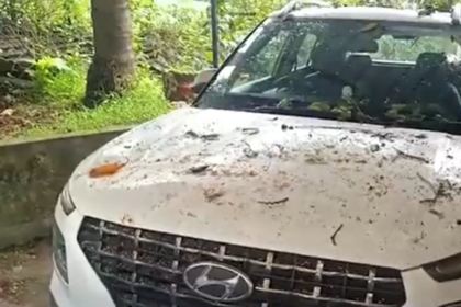Monsoon menace narrowly missed as giant tree crashes into Bicholim school