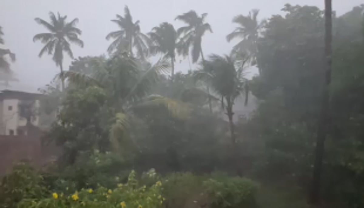 Monsoon set to revive from today: IMD