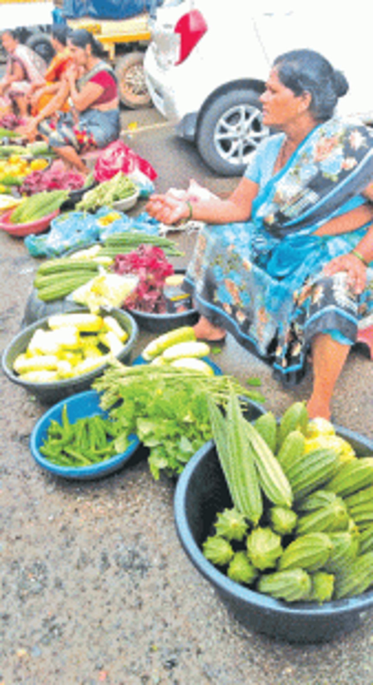 Monsoon vegetables gain popularity at Ponda as tomato prices remain high