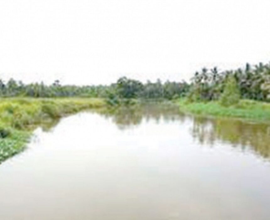 Monsoon will lead to flooding due to no proper desilting of River Sal, say Salcete locals 1 Monsoon will lead to flooding due to no proper desilting of River Sal, say Salcete locals