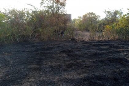 Mopa Farmers Demand Justice as Police Inaction Raises Concerns over Alleged Cashew Plantation Destruction